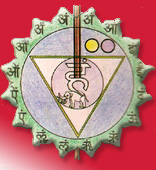 Shamanic Dream - Schamanische Heilarbeit fr Mensch und Tier - Basel - Schweiz - Schamanismus, Aura-Soma, Tierkommunikation, Tiertherapie und Coaching